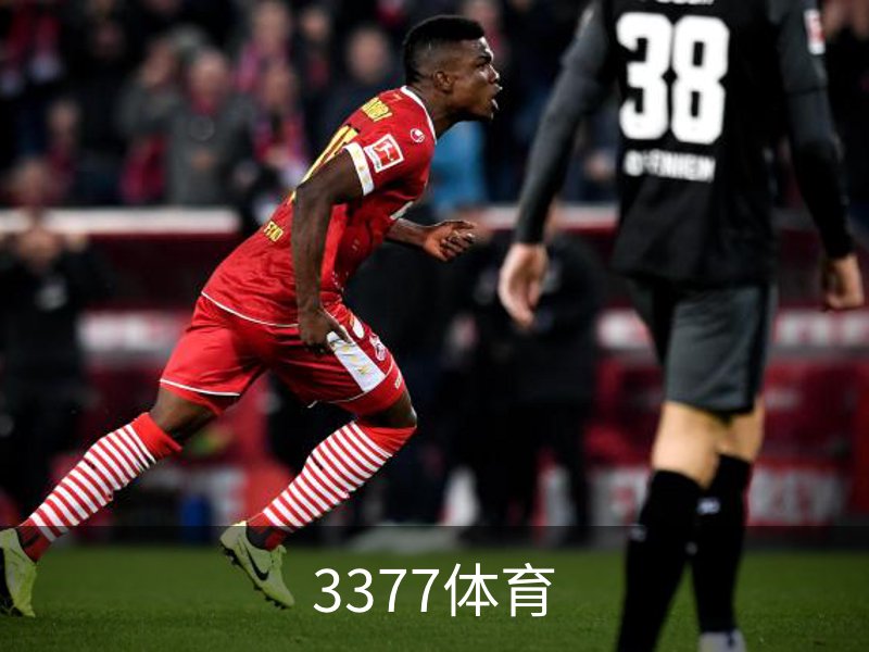 3377体育品牌故事